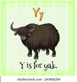 Illustration of an alphabet Y is for yak