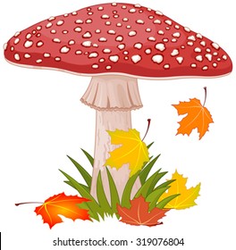 Illustration of amanita in a grass