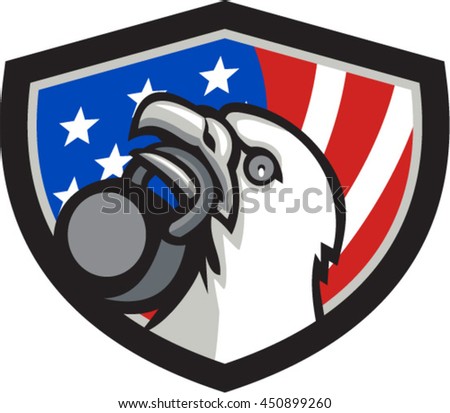 Illustration of an american bald eagle head looking up to the side lifting kettleball with beak set inside shield crest with american usa flag in the background.