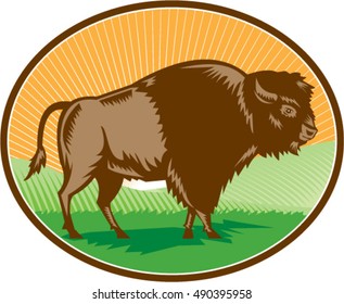 Illustration of an american bison buffalo bull viewed from the side set inside oval shape with sunburst and grass field in the background done in retro woodcut style. 