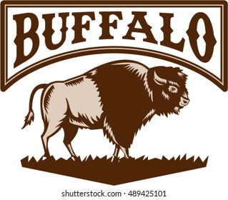 Illustration of an American bison or buffalo viewed from the side set on isolated white background with the word text Buffalo done in retro woodcut style. 