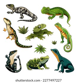 Illustration of Amphibians Character Icon Set In Flat Style.