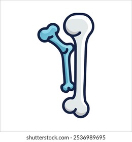 Illustration of anatomy in medical science