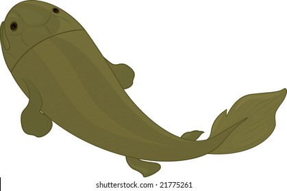 Illustration of an ancient fish