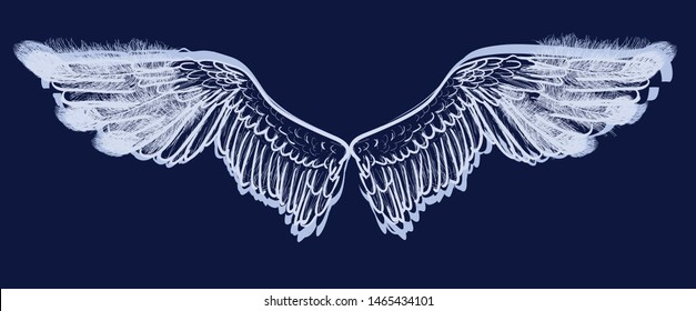 illustration with angel wings isolated on dark background
