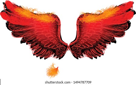 illustration with angel wings isolated on white background