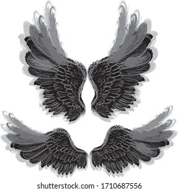 illustration with angel wings isolated on white background