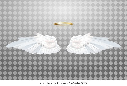 An illustration of angel wings isolated on a transparent background. Vector.