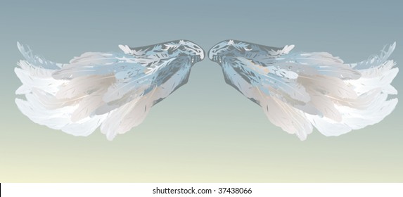 illustration with angel wings isolated on blue background