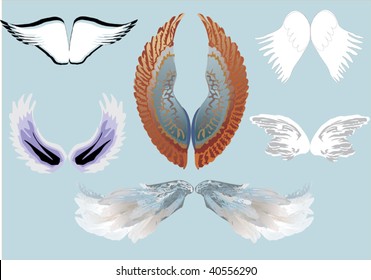 illustration with angel wings isolated on blue background