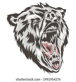 Illustration of  angry bear head in vector style