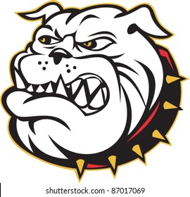 illustration of an Angry bulldog mongrel dog head mascot on isolated white background done in cartoon style