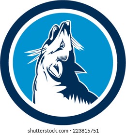 Illustration of an angry fox wild dog wolf head howling viewed from the side set inside circle on isolated background done in retro style. 