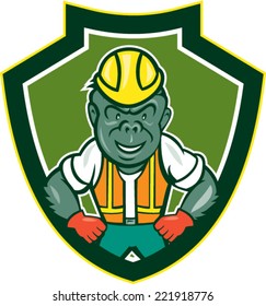 Illustration of an angry gorilla ape construction worker with hard hat and hands on hips set inside shield crest on isolated background done in cartoon style. 