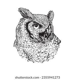 Illustration of Angry Owl. Hand Drawn illustration vector