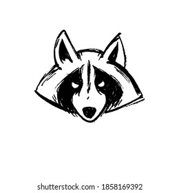 Illustration of an angry raccoon. Ink drawing