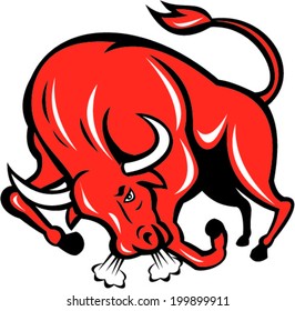 Illustration Of An Angry Raging Bull Charging Viewed From Front On Isolated White Background Done In Cartoon Style.