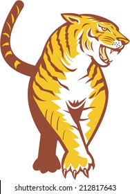 Illustration of an angry tiger prowling looking to the side viewed from front on isolated white background done in retro style. 