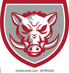 Illustration of an angry wild pig boar razorback head viewed from the front set inside shield crest done in retro style. 