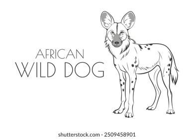 Ilustração de um animal - Cão selvagem africano, Mammalia