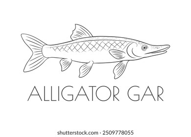 Ilustración de un animal - Cocodrilo Gar, Actinopterygii