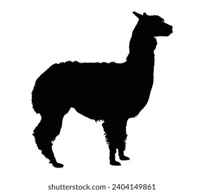 Illustration von Tier alpaca Silhouette.