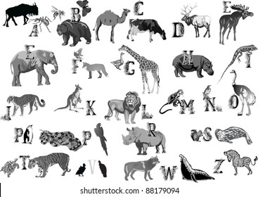illustration with animal alphabet isolated on white background