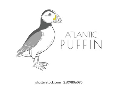 Illustration of a Animal - Atlantic Puffin, Bird