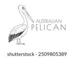 Illustration of a Animal - Australian Pelican, Bird