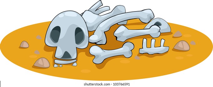Illustration animal bones