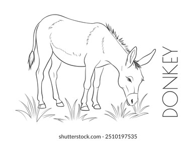 Ilustração de um animal - Burro Comendo Gras, Mammalia