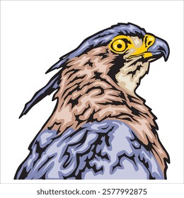 illustration animal. illustration of an eagle with a sharp gaze