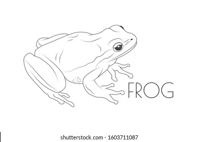 7,230 Vintage frog Images, Stock Photos & Vectors | Shutterstock