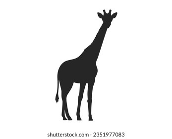 Illustration of animal giraffe silhouette.