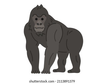 
Illustration of an animal gorilla.