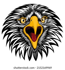 Illustration animal head eagle symbol mascot nature design graphic vector