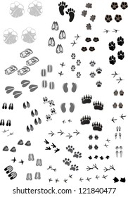 illustration with animal and human tracks isolated on white