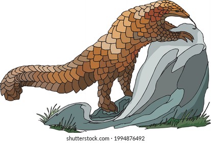 illustration of animal on the rock