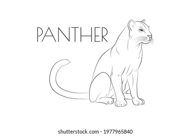 Illustration of a Animal - Panther, Mammalia