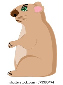 Illustration animal rodent on white background is insulated