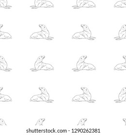 Illustration of a Animal - Seal, Walrus