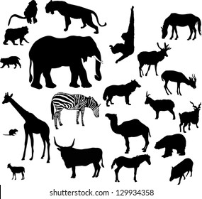 63 Hog Deer Tiger Images, Stock Photos & Vectors | Shutterstock