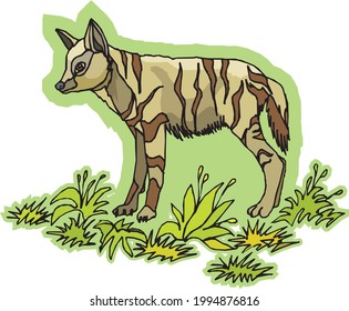 illustration of an animal in white background