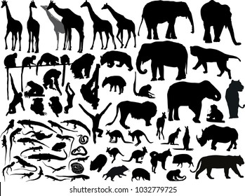 Zoo Animals Collection Vector Silhouette Stock Vector (Royalty Free ...