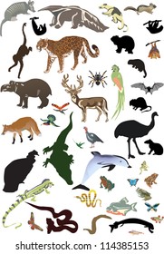 illustration with animals collection isolated on white background