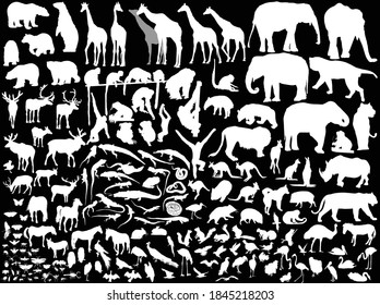 illustration with animals collection isolated on black background