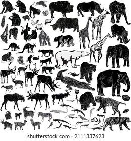 illustration with animals collection isolated on white background