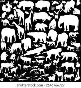 illustration with animals collection isolated on black background