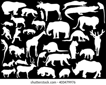 ilustración con colección de animales aislados en fondo negro