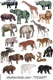 illustration with animals collection isolated on white background